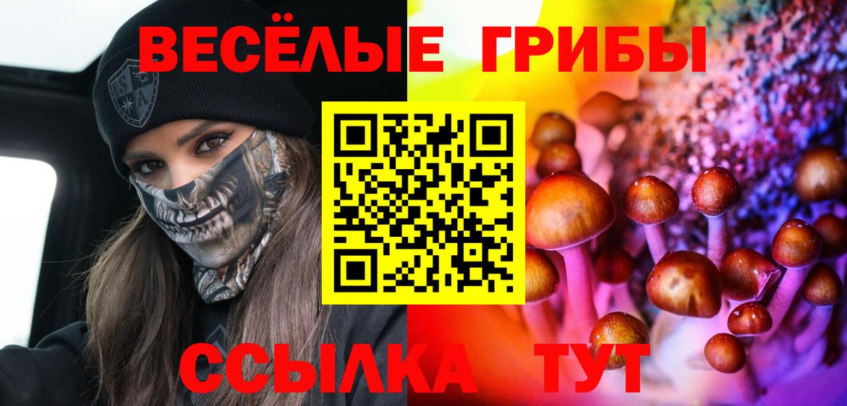 Псилоцибиновые грибы Psilocybe Чистополь