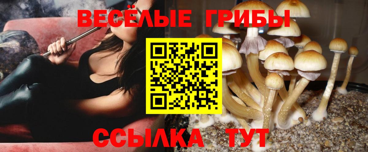 Псилоцибиновые грибы мицелий  Вход с VPN  Чистополь  Псилоцибиновые грибы мицелий 